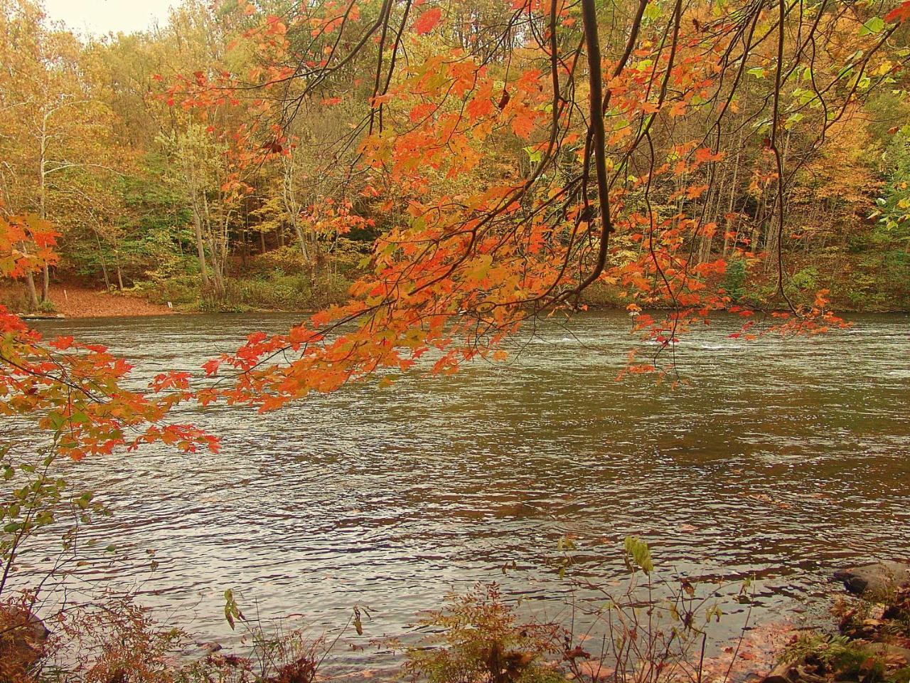 Confluence Paddler'S Lane Retreat 빌라 외부 사진