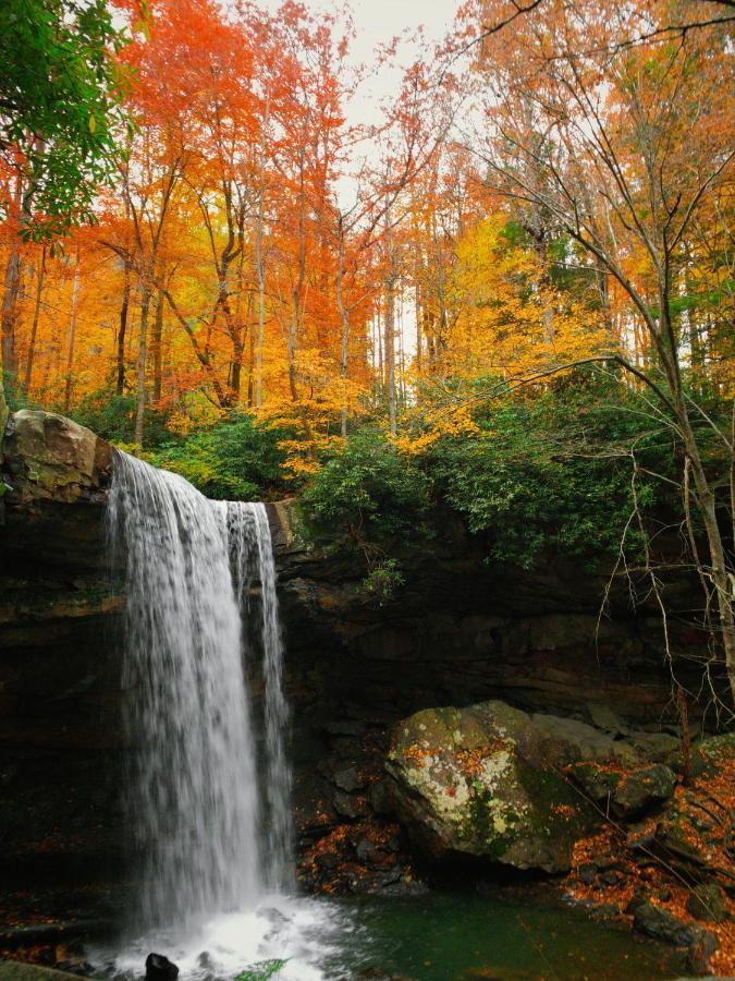 Confluence Paddler'S Lane Retreat 빌라 외부 사진