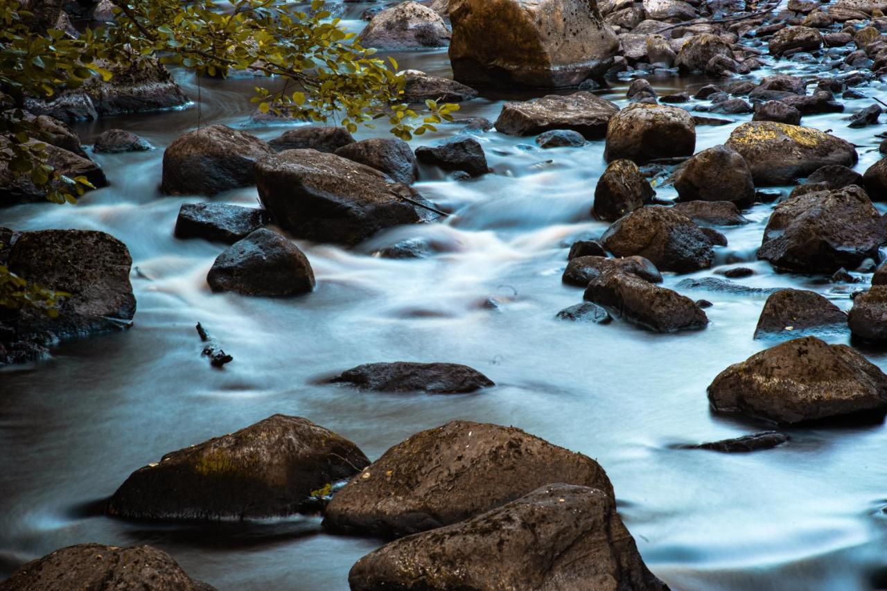 Confluence Paddler'S Lane Retreat 빌라 외부 사진